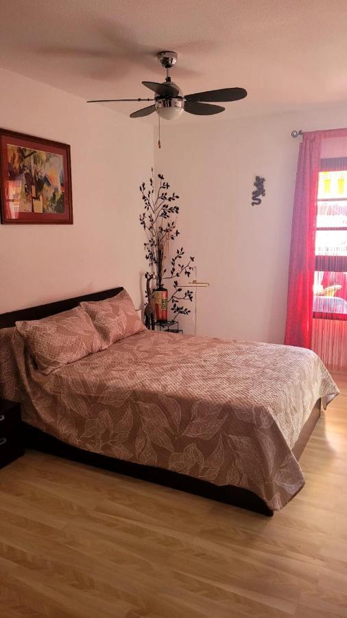 פוארטו דה סנטיאגו Oceanfront Beach Apartment La Arena מראה חיצוני תמונה